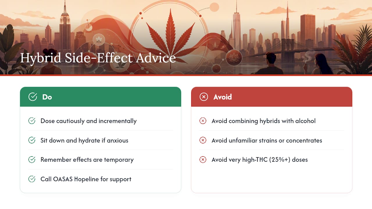 What Are the Side Effects of Hybrid Cannabis? — overview diagram