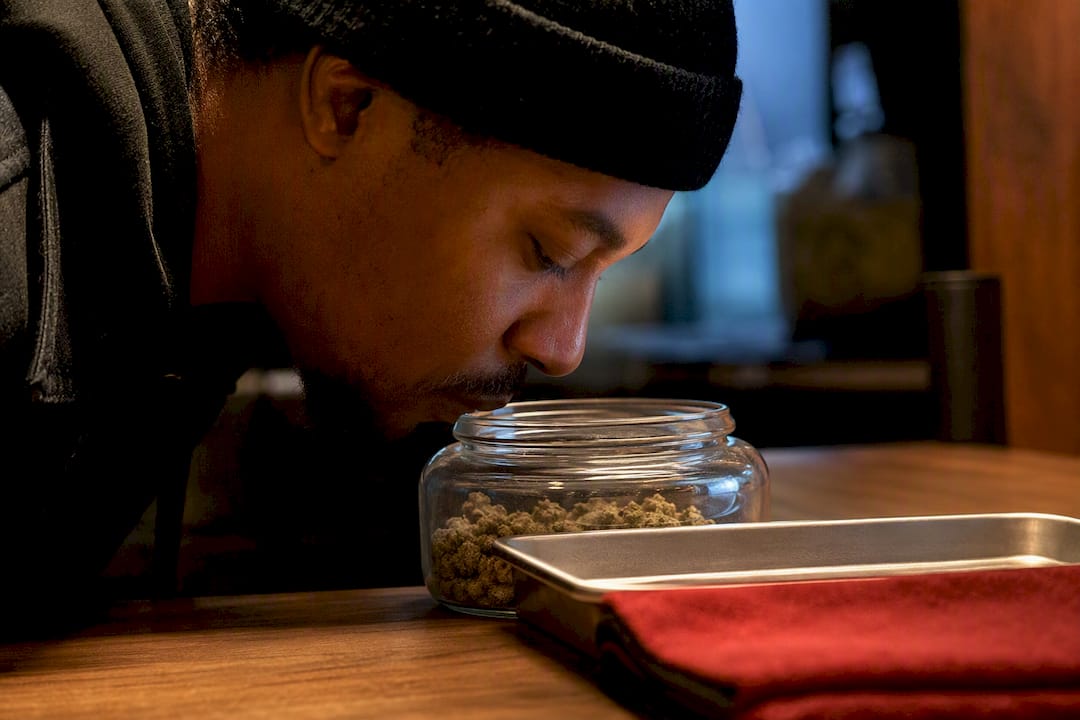 Adult buyer smelling fresh cannabis flower