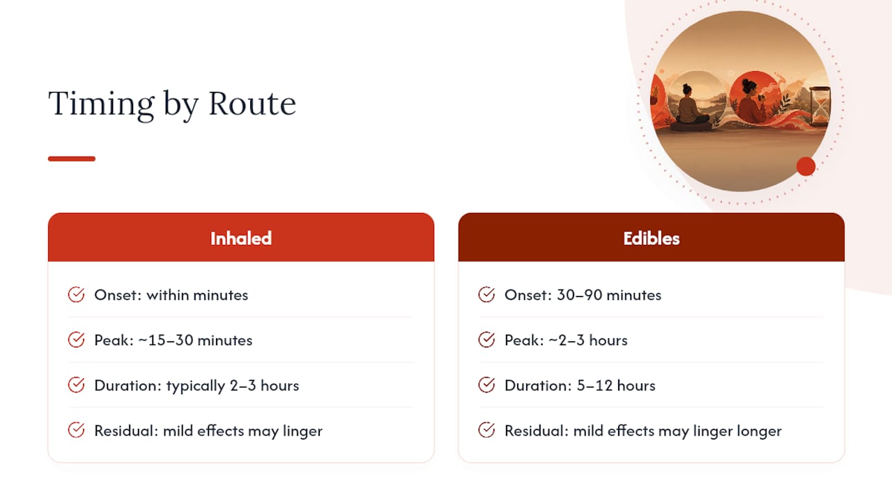 Timeline comparing inhaled and edible THC effects